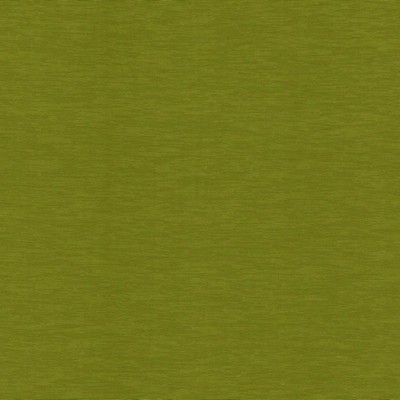 Kasmir LUCINDA          KIWI            