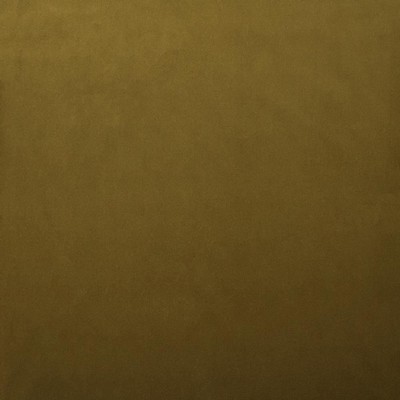 Kasmir LYNDHURST        AMBER           