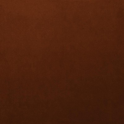 Kasmir LYNDHURST        CIDER           