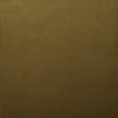 Kasmir LYNDHURST        ECRU            