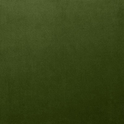 Kasmir LYNDHURST        FERN            