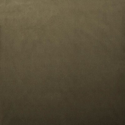 Kasmir LYNDHURST        MUSHROOM        