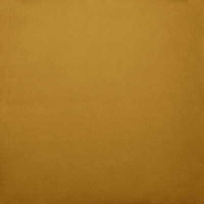 Kasmir LYNDHURST        MUSTARD         