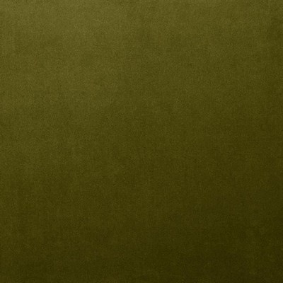 Kasmir LYNDHURST        OLIVE           