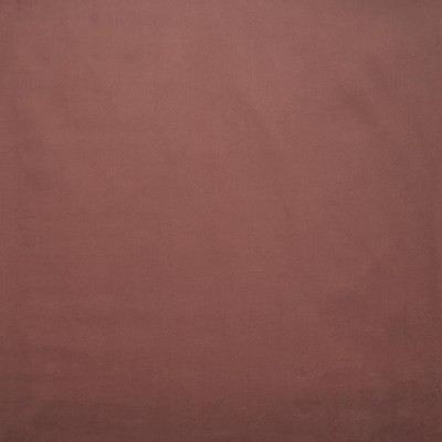 Kasmir LYNDHURST        PRIMROSE        