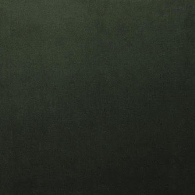 Kasmir LYNDHURST        SPRUCE          