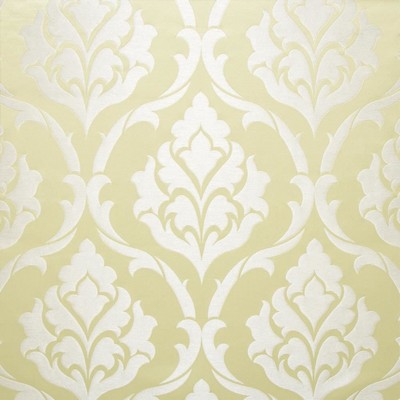 Kasmir MALIA            CHAMPAGNE       