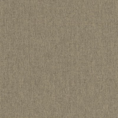 Kasmir MATEO            STEEL           