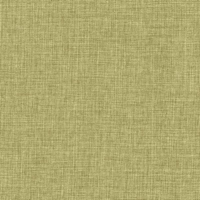 Kasmir MAURA            GRASS           