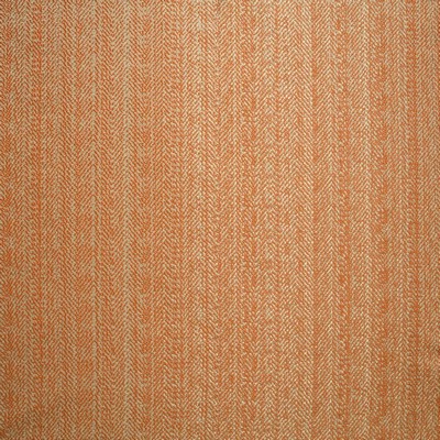 Kasmir MORNING LIGHT    SUNKIST         