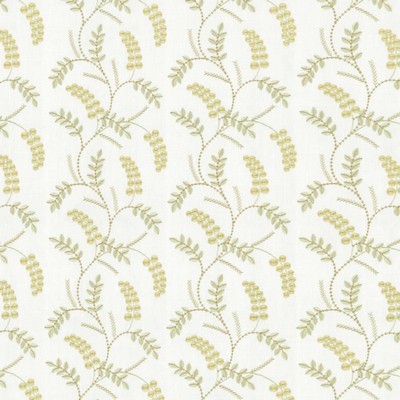 Kasmir MORWENNA         OPAL            