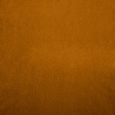 Kasmir NAMPARA          APRICOT         