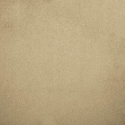 Kasmir NAMPARA          BEIGE           