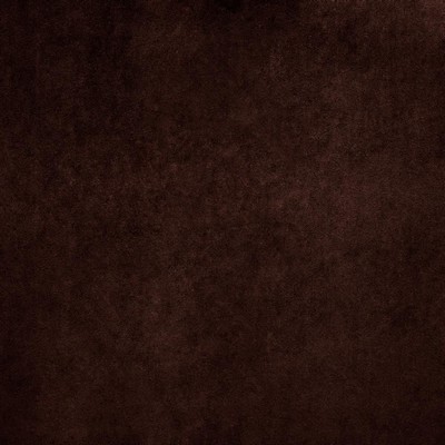 Kasmir NAMPARA          BROWN           