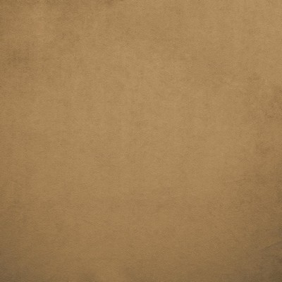 Kasmir NAMPARA          CAPPUCCINO      