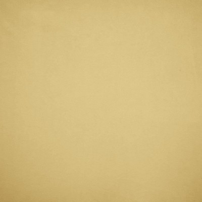 Kasmir NAMPARA          CREAM           