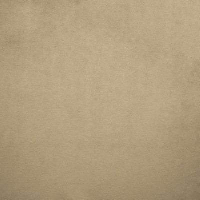 Kasmir NAMPARA          NICKEL          