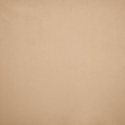 Kasmir NAMPARA          ROSEWOOD        