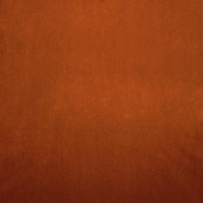 Kasmir NAMPARA          TERRACOTTA      