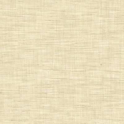 Kasmir NIKITA           VANILLA         