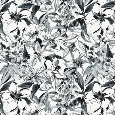 Kasmir ORIGINALITY      CHALKBOARD      