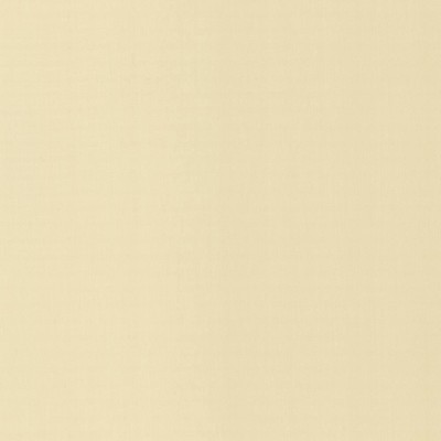 Kasmir PERCEPTION       ALABASTER       