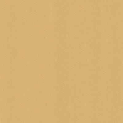 Kasmir PERCEPTION       CASHEW          