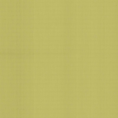 Kasmir PERCEPTION       CELERY          