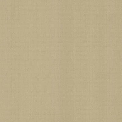 Kasmir PERCEPTION       CEMENT          