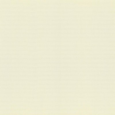 Kasmir PERCEPTION       CHALK           