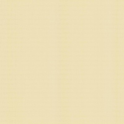 Kasmir PERCEPTION       CHAMOIS         