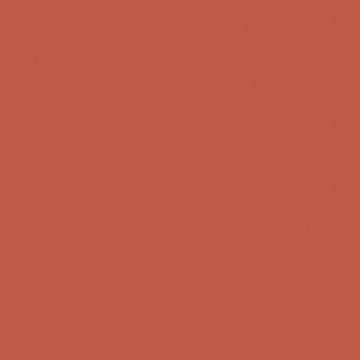 Kasmir PERCEPTION       CORAL           