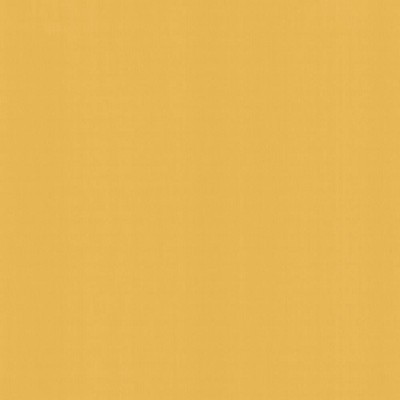 Kasmir PERCEPTION       DANDELION       