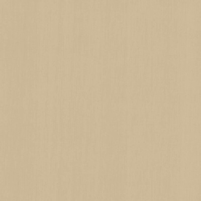 Kasmir PERCEPTION       DOLPHIN         