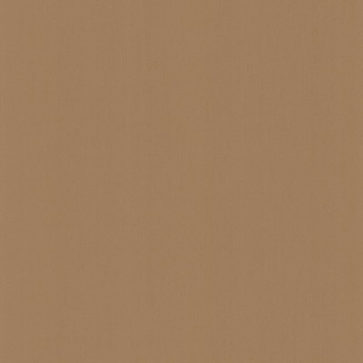 Kasmir PERCEPTION       DRIFTWOOD       