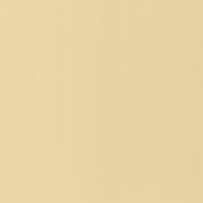 Kasmir PERCEPTION       ECRU            