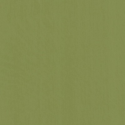 Kasmir PERCEPTION       GRASS           