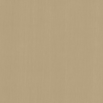 Kasmir PERCEPTION       GRAY            