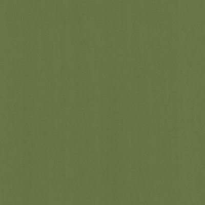 Kasmir PERCEPTION       KELLY           