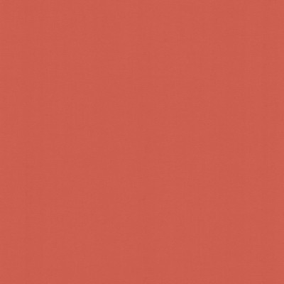 Kasmir PERCEPTION       PERSIMMON       