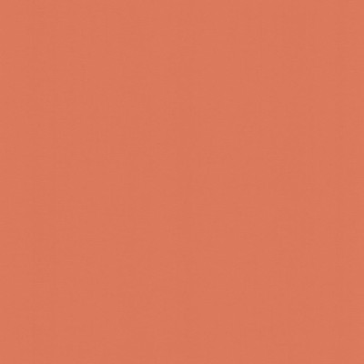 Kasmir PERCEPTION       SALMON          