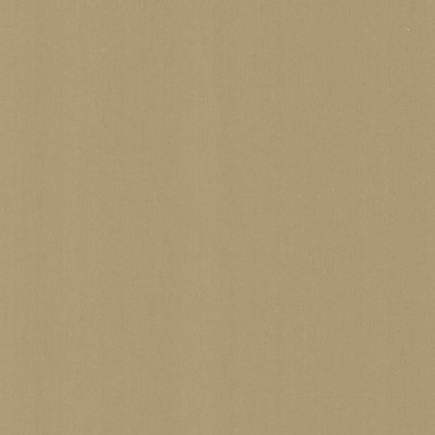 Kasmir PERCEPTION       SEAL            