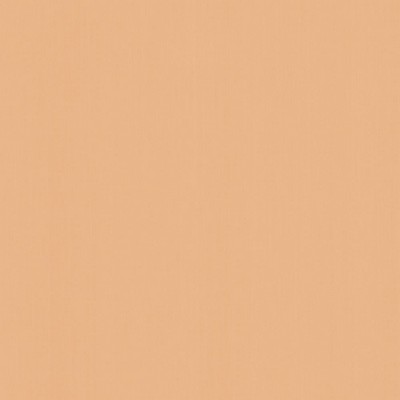 Kasmir PERCEPTION       SHELL           