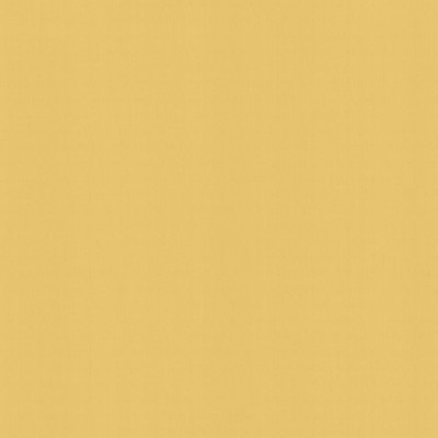 Kasmir PERCEPTION       SOLEIL          