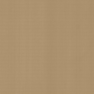 Kasmir PERCEPTION       TEAK            