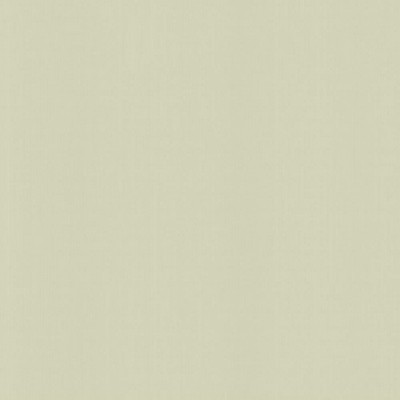 Kasmir PERCEPTION       ZEN             