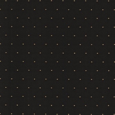 Kasmir PERDIDO          ONYX            