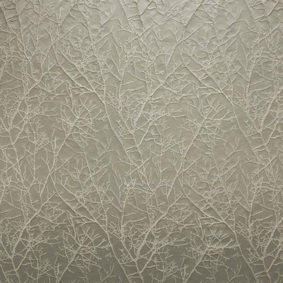 Kasmir PLEASED          PLATINUM        