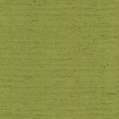 Kasmir POLISHED         MOSS            