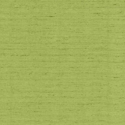 Kasmir POLISHED         PARROT          